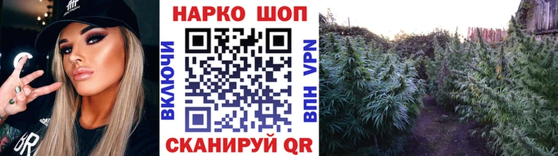 Виды наркотиков купить Анива ГАШ  mega зеркало  Меф  Каннабис  COCAIN 