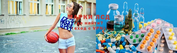 гашик Алексин