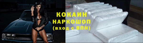 гашик Алексин
