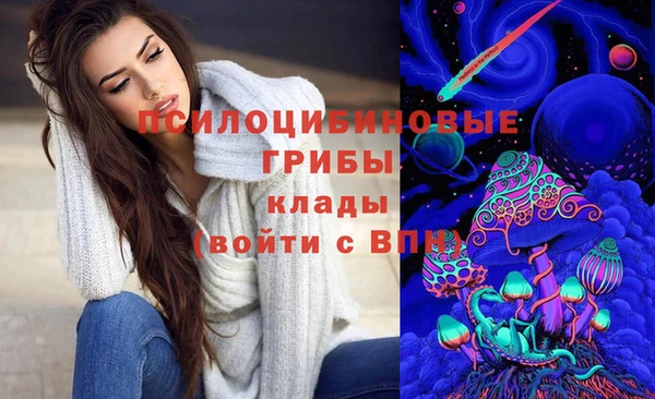 spice Алзамай